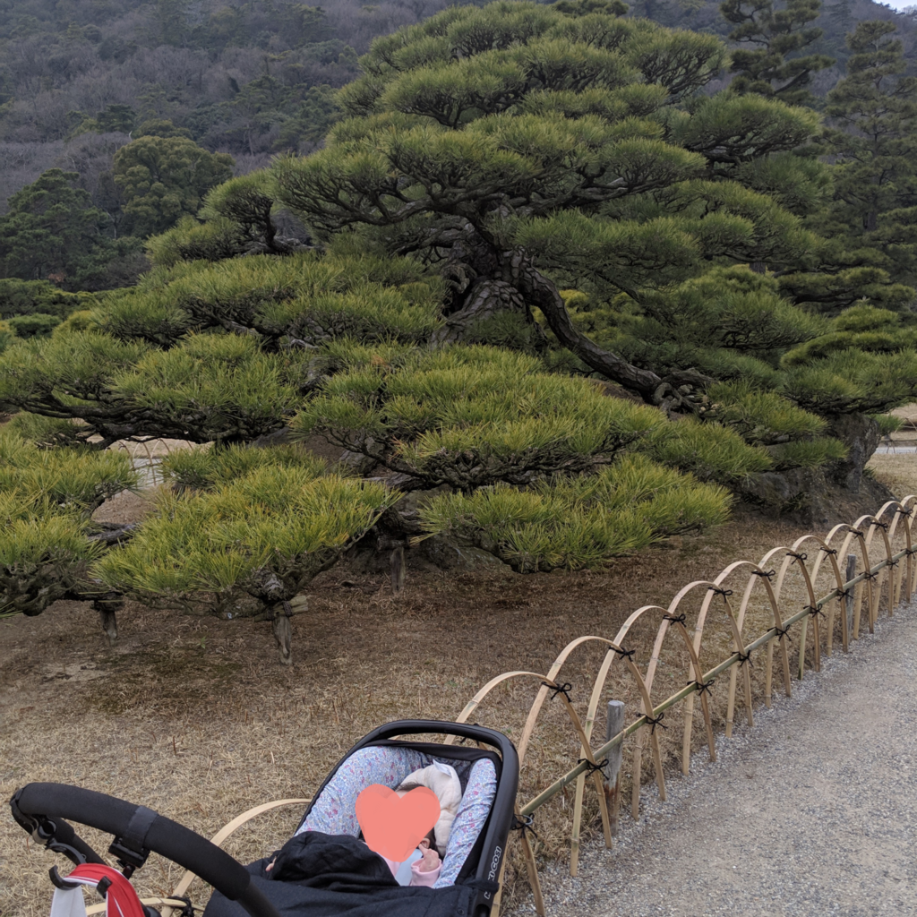 f:id:mamepiro:20190311081634p:plain