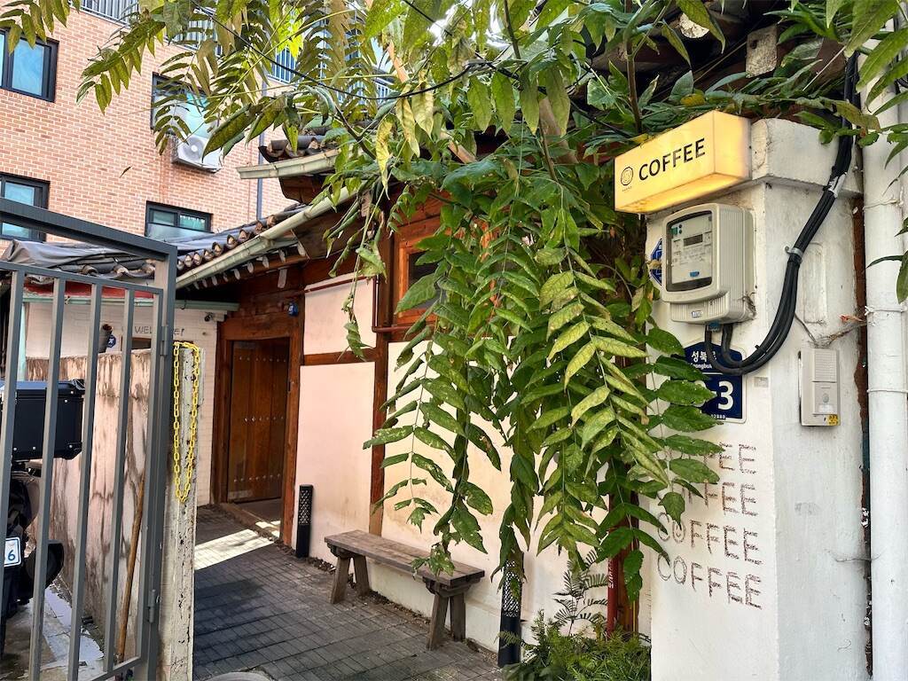 f:id:mameriday:20231123082733j:image