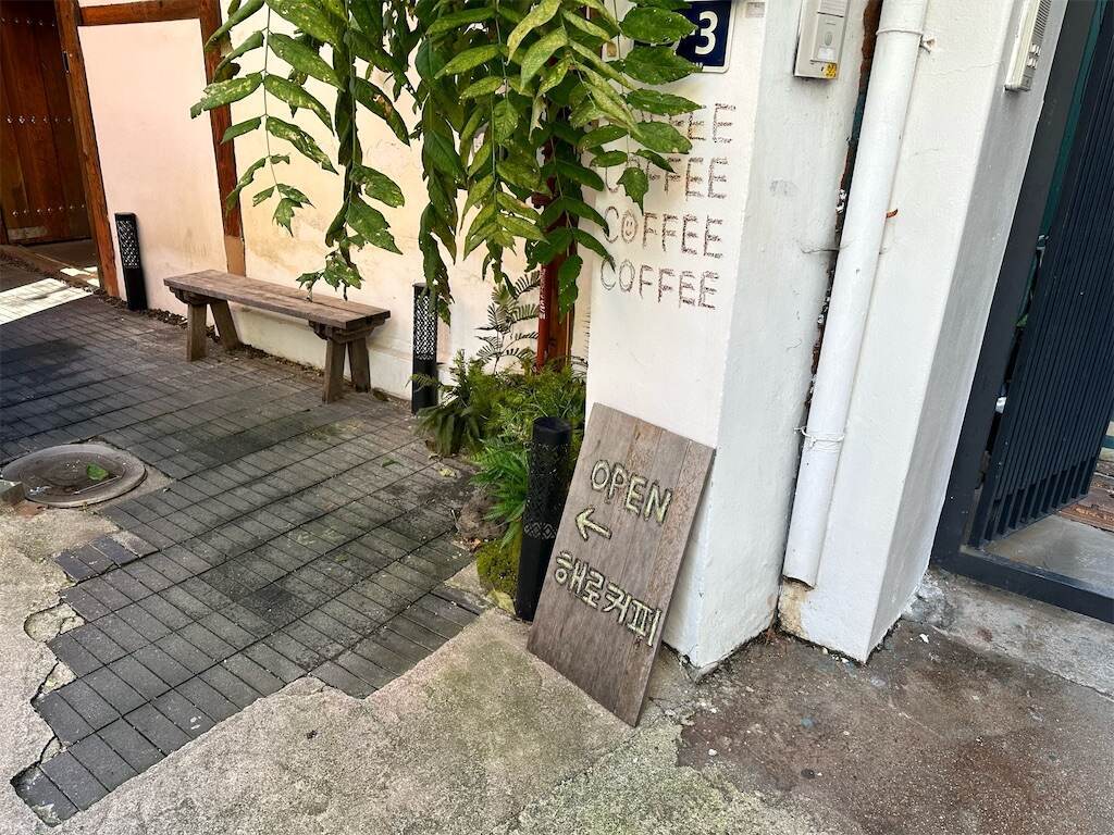 f:id:mameriday:20231123082739j:image