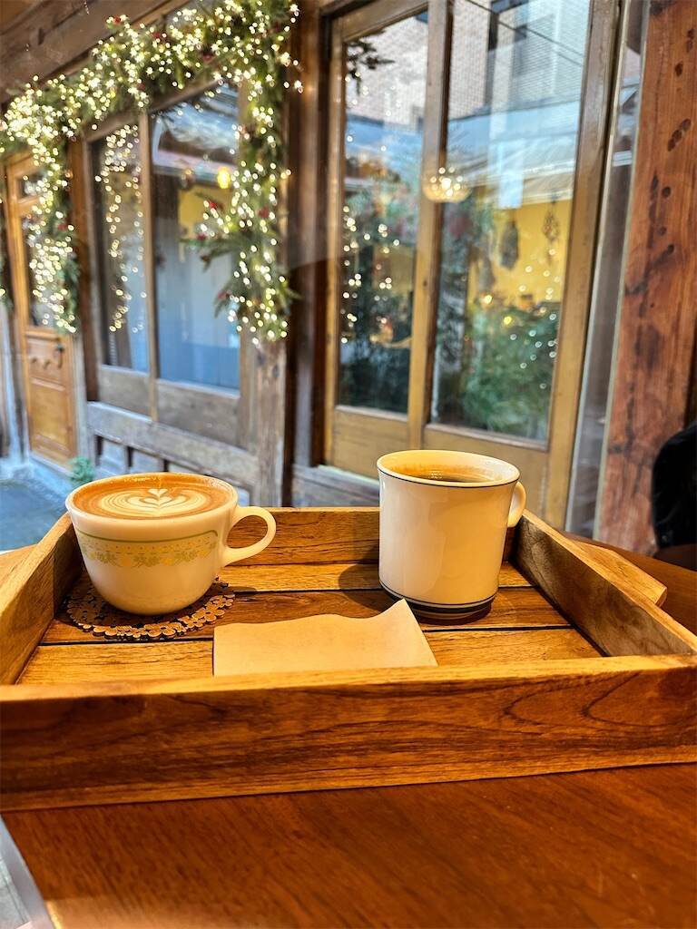 f:id:mameriday:20231123082759j:image