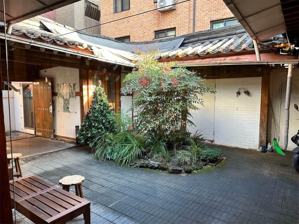 f:id:mameriday:20231123082802j:image