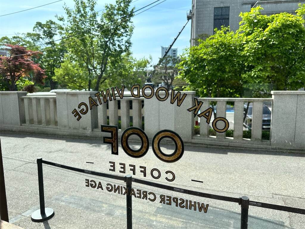 f:id:mameriday:20240828084257j:image