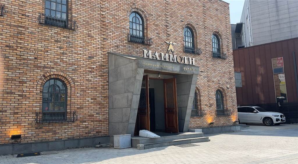 f:id:mameriday:20250624084001j:image