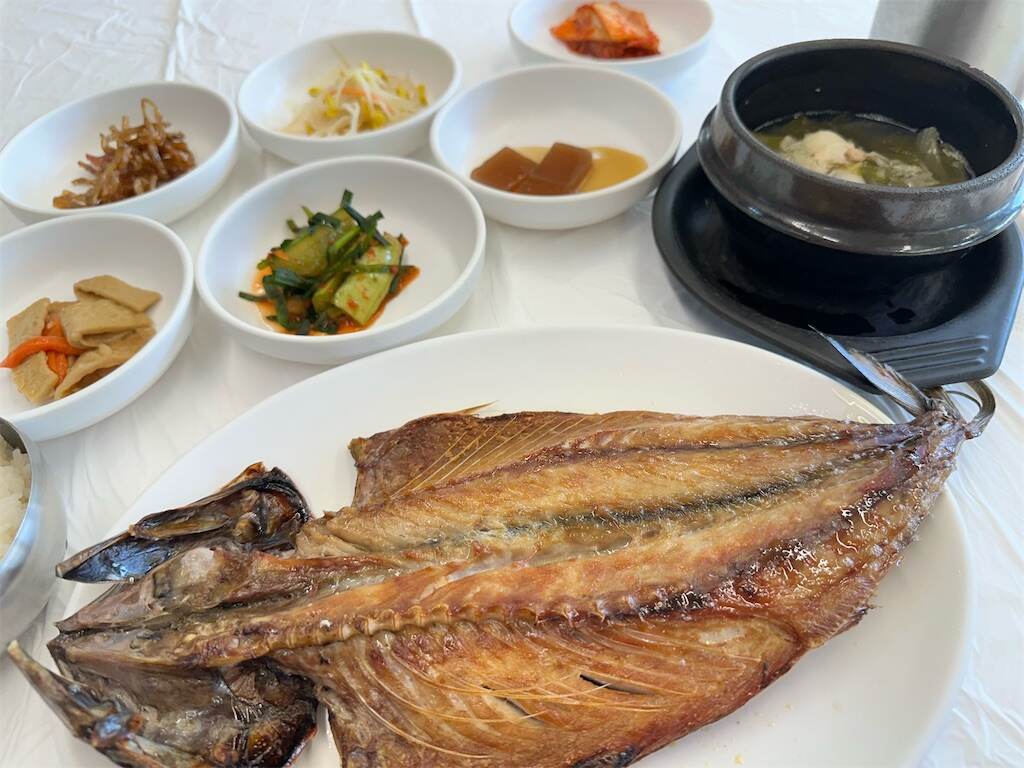 f:id:mameriday:20250624084022j:image