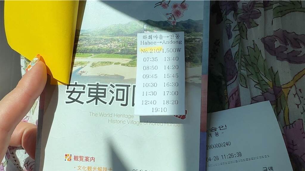 f:id:mameriday:20250624084025j:image
