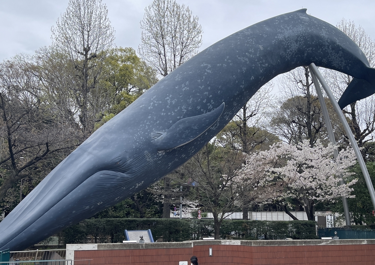 🌍恐竜から海洋生物まで🐬国立科学博物館が教える驚きの世界👀 - 双極