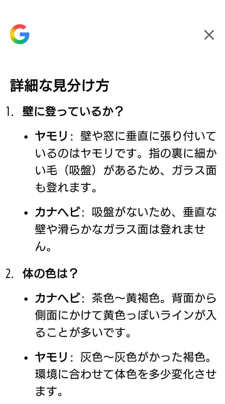 f:id:mametana:20260411220130j:image f:id:mametana:20260411220130j:image