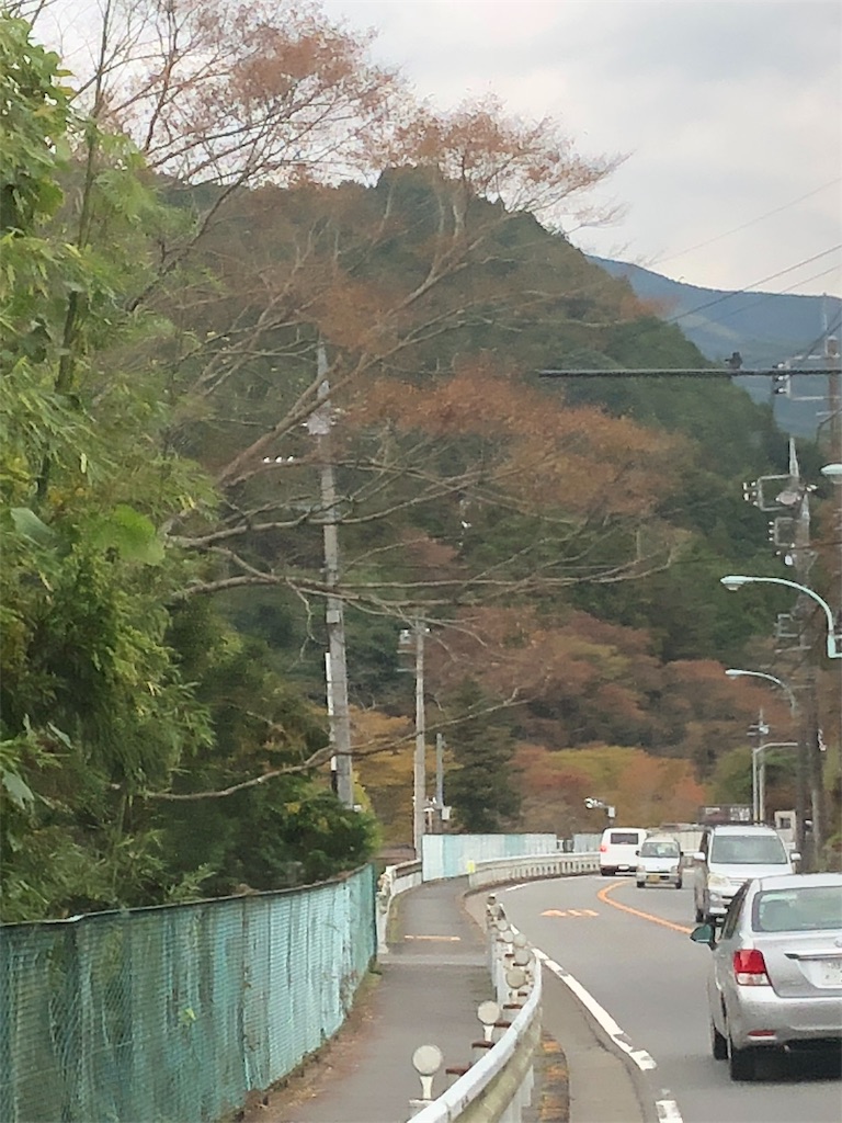 f:id:mametanogreen254:20181104231548j:image f:id:mametanogreen254:20181104231548j:image