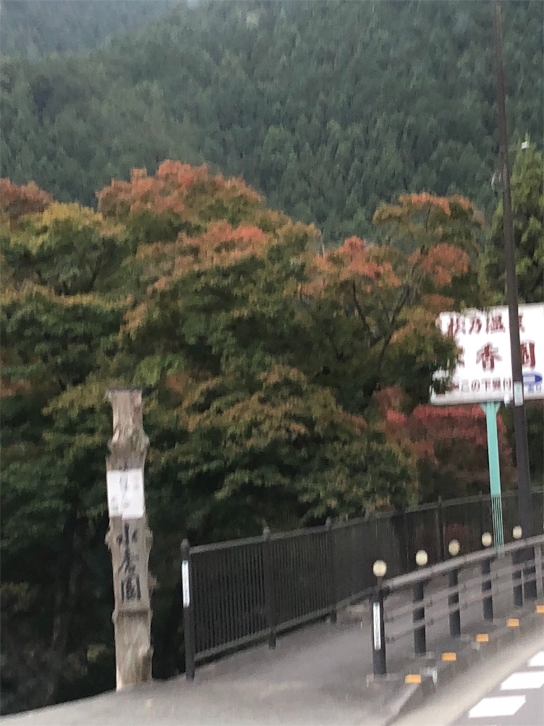 f:id:mametanogreen254:20181104231929j:image f:id:mametanogreen254:20181104231929j:image