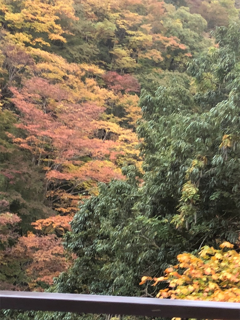 f:id:mametanogreen254:20181104232207j:image f:id:mametanogreen254:20181104232207j:image