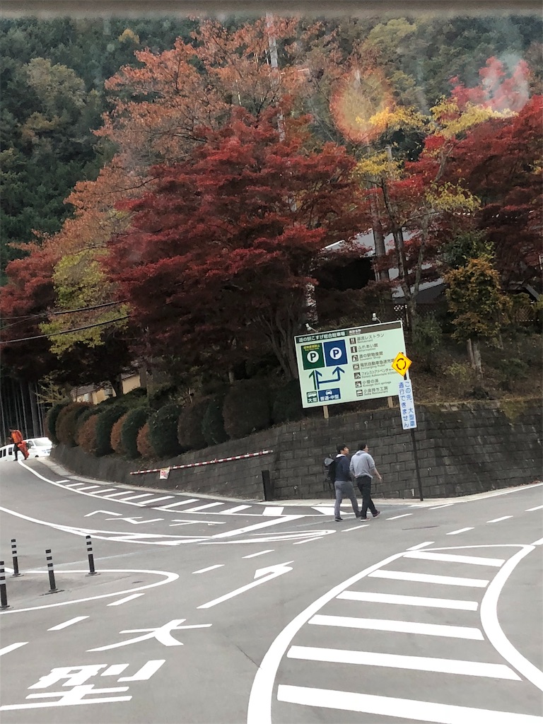 f:id:mametanogreen254:20181104232914j:image f:id:mametanogreen254:20181104232914j:image