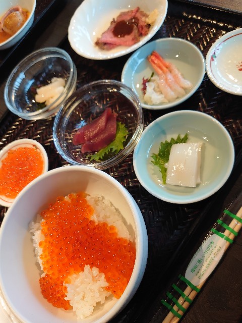 f:id:mametaro1827:20210420184328j:image f:id:mametaro1827:20210420184328j:image