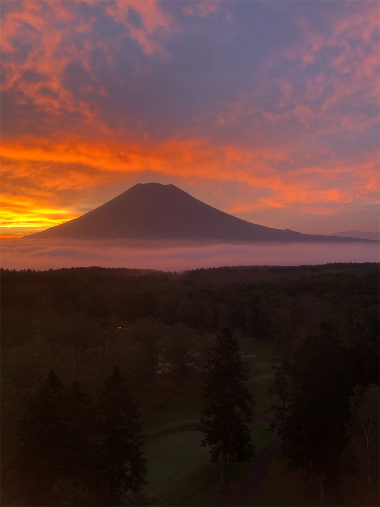 f:id:mametaro1827:20221126111947j:image f:id:mametaro1827:20221126111947j:image