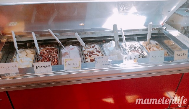 ごとらってのジェラートケース