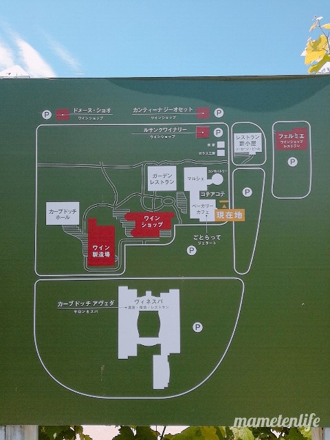 ごとらってのあるカーブドッチの地図