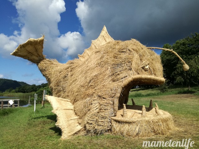 2019年上堰潟公園のアンコウのわらアートを横からみたところ