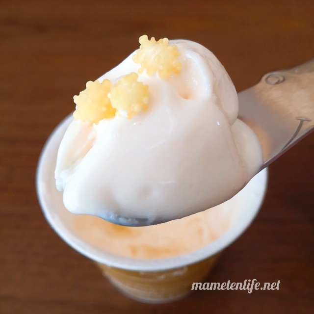 ヤスダヨーグルトのフローズンヨーグルトに浮き星をトッピングしたもの