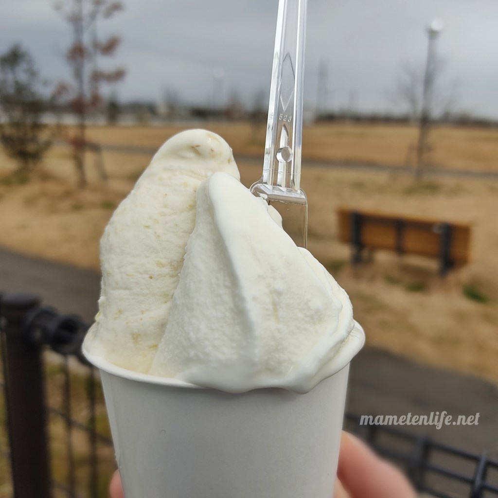 f:id:mametenlife:20210410233355j:plain