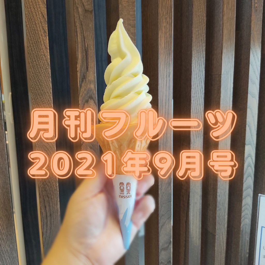 f:id:mametenlife:20210828014147j:plain