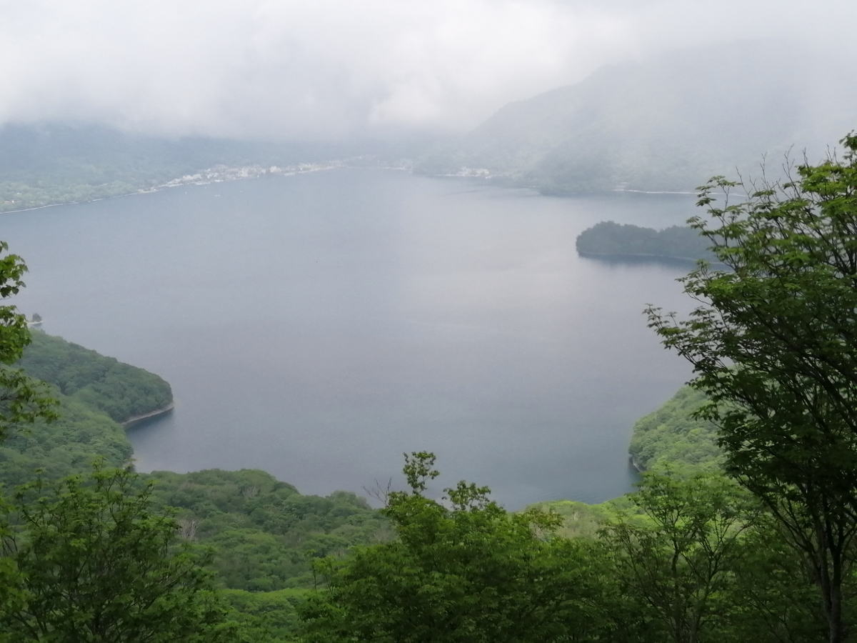 f:id:mamewanko:20200614180452j:plain f:id:mamewanko:20200614180452j:plain