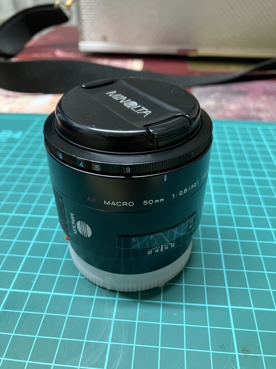 マクロレンズを使ってみた【MINOLTA AF 50 MACRO 1:2.8】 - まめさんの