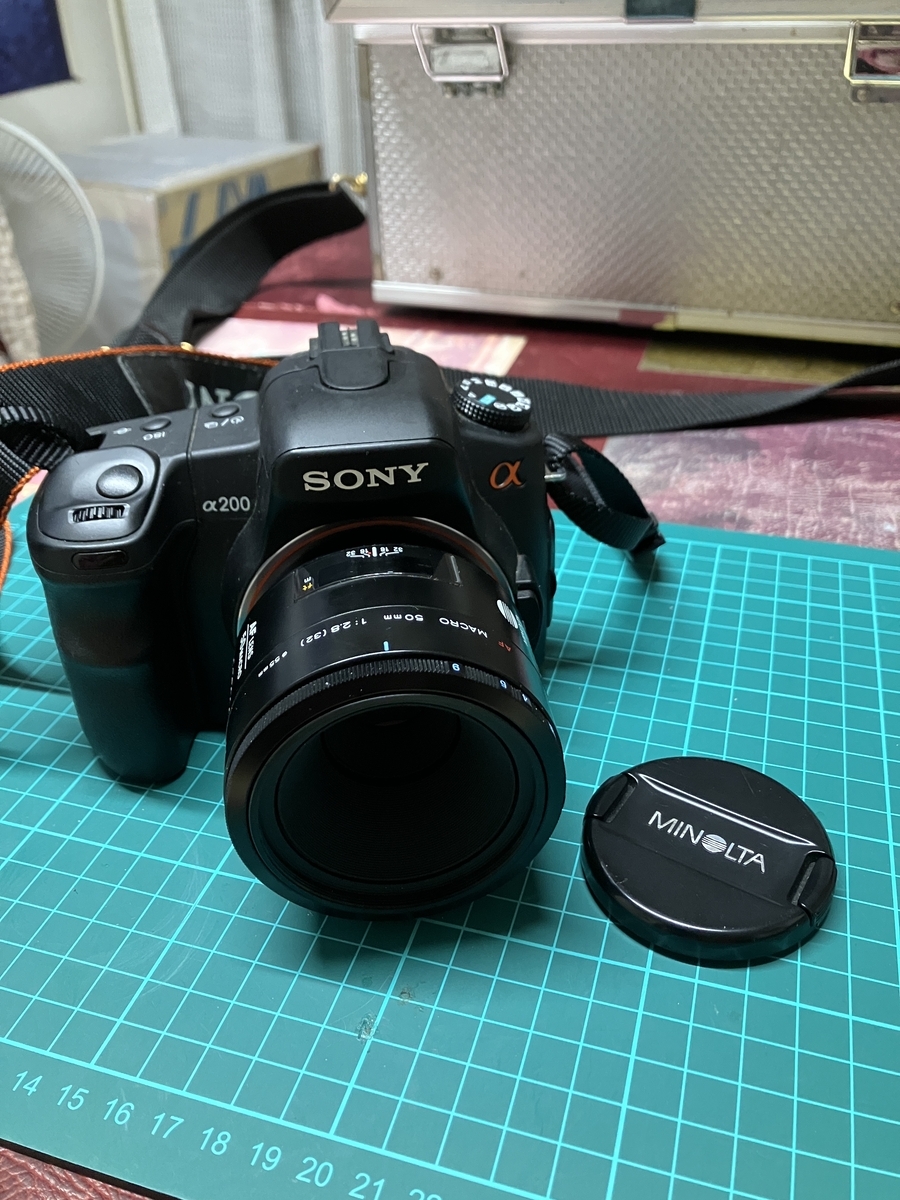 マクロレンズを使ってみた【MINOLTA AF 50 MACRO 1:2.8】 - まめさんの