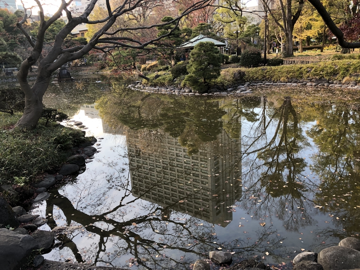 池には落ち葉がたくさん