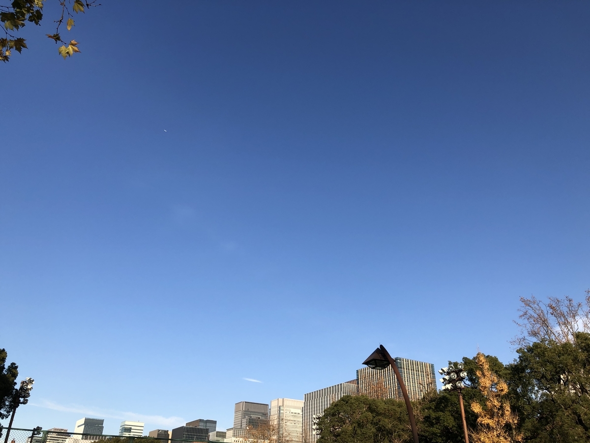 冬の澄んだ空とビル群