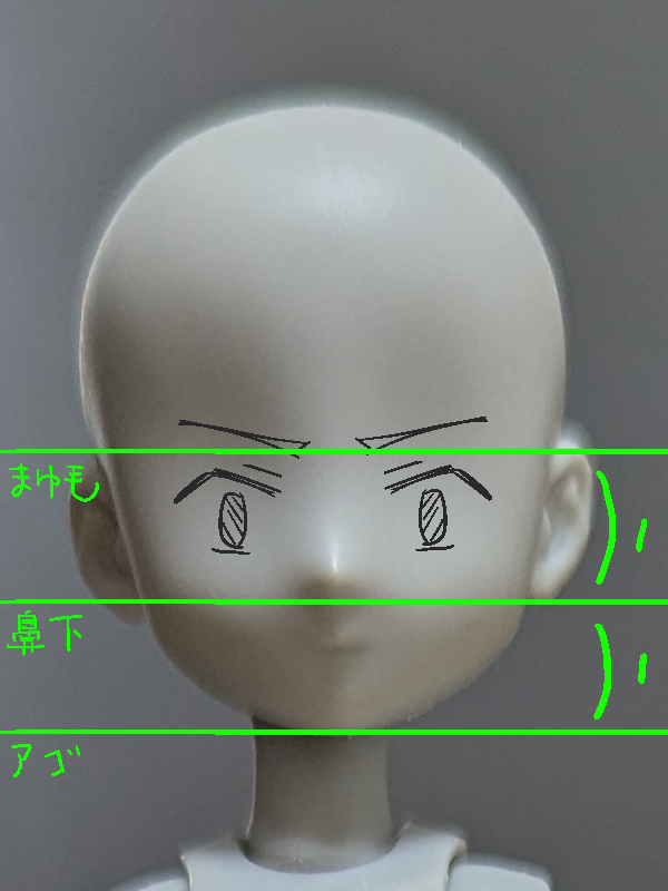 顔のバランス