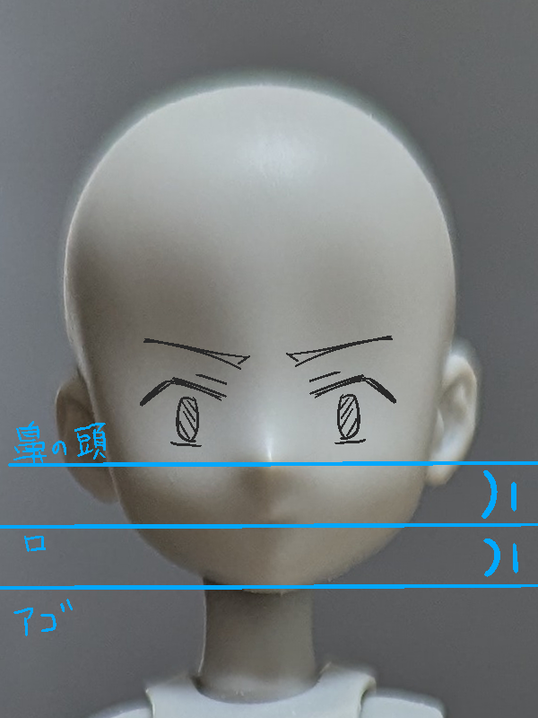 鼻と口のバランス