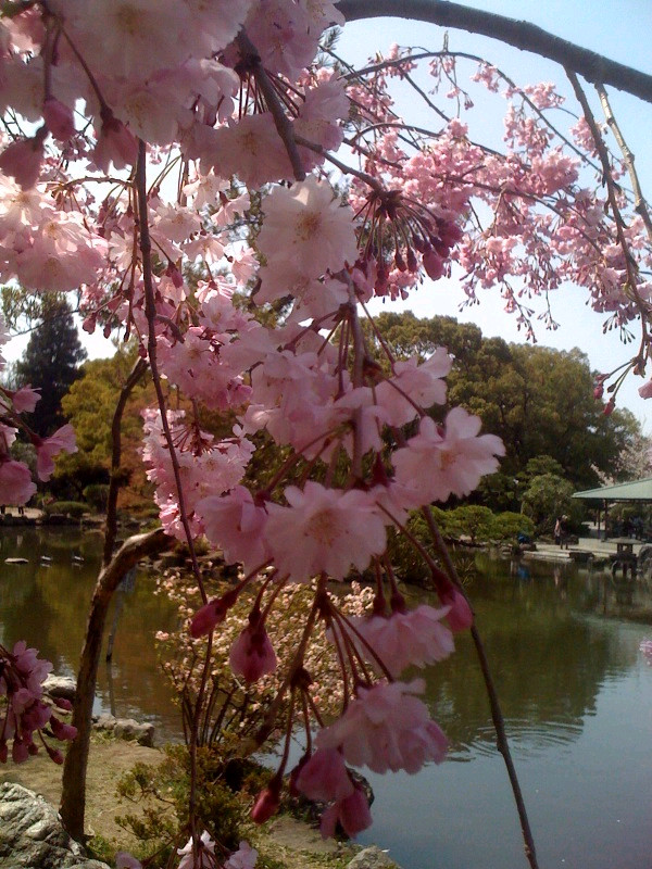 f:id:mamezouya:20130331082021j:image f:id:mamezouya:20130331082021j:image