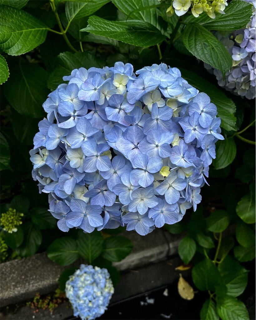 f:id:mamezouya:20230531053555j:image f:id:mamezouya:20230531053555j:image