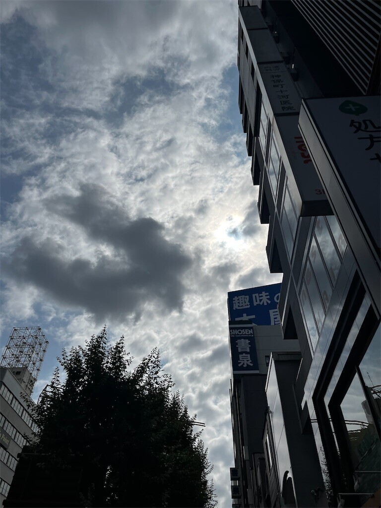 f:id:mamezouya:20230621051521j:image f:id:mamezouya:20230621051521j:image