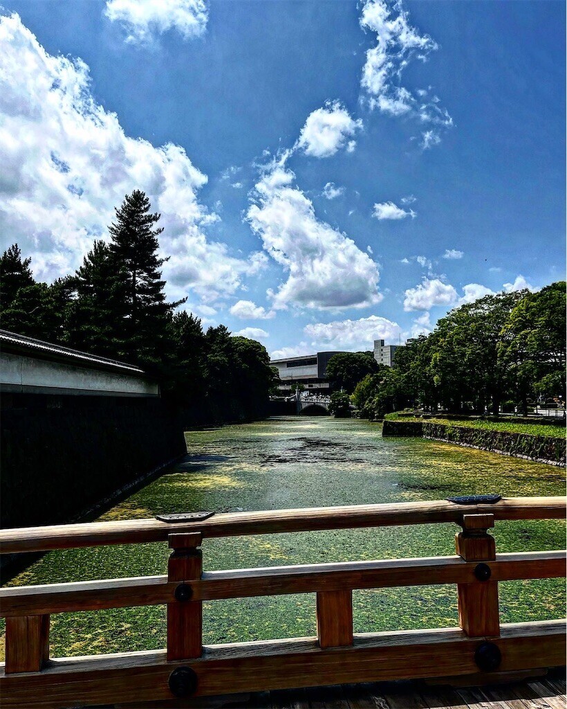 f:id:mamezouya:20230704204721j:image
