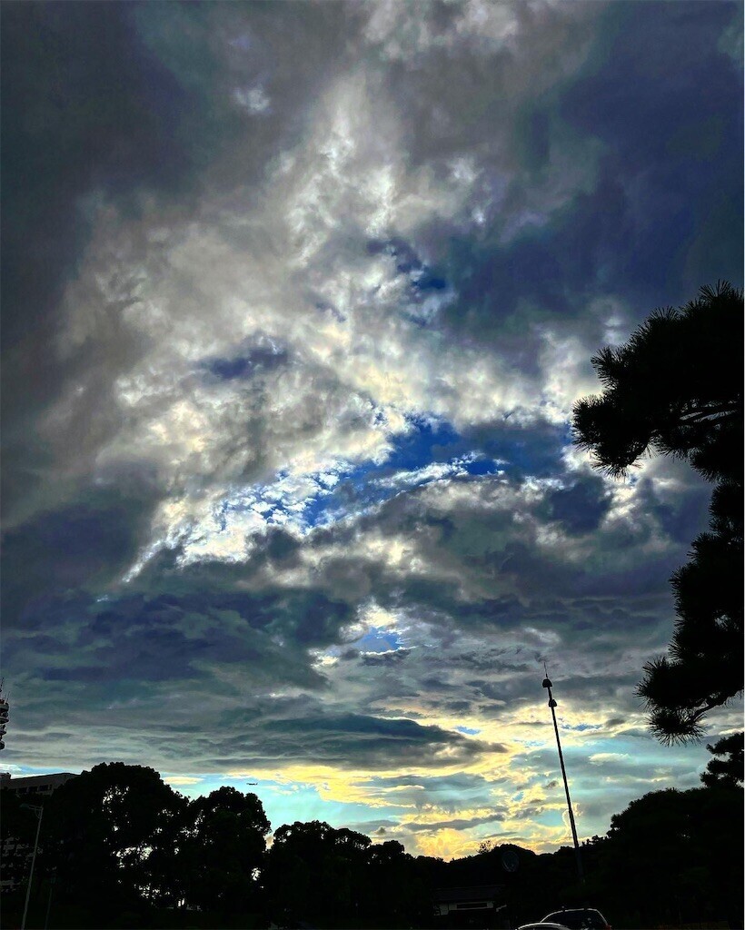 f:id:mamezouya:20230806184517j:image