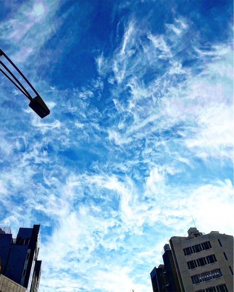 f:id:mamezouya:20240210064150j:image f:id:mamezouya:20240210064150j:image