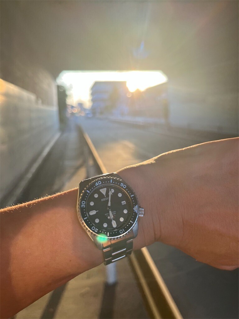 f:id:mamezouya:20240819045347j:image