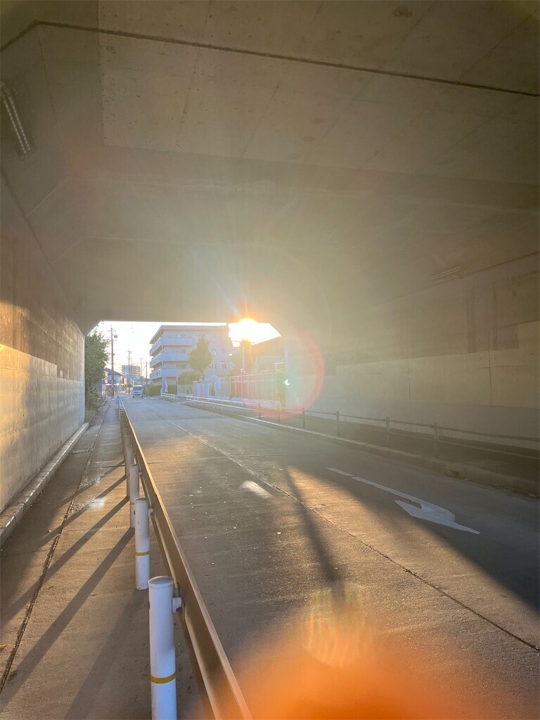 f:id:mamezouya:20240819045353j:image