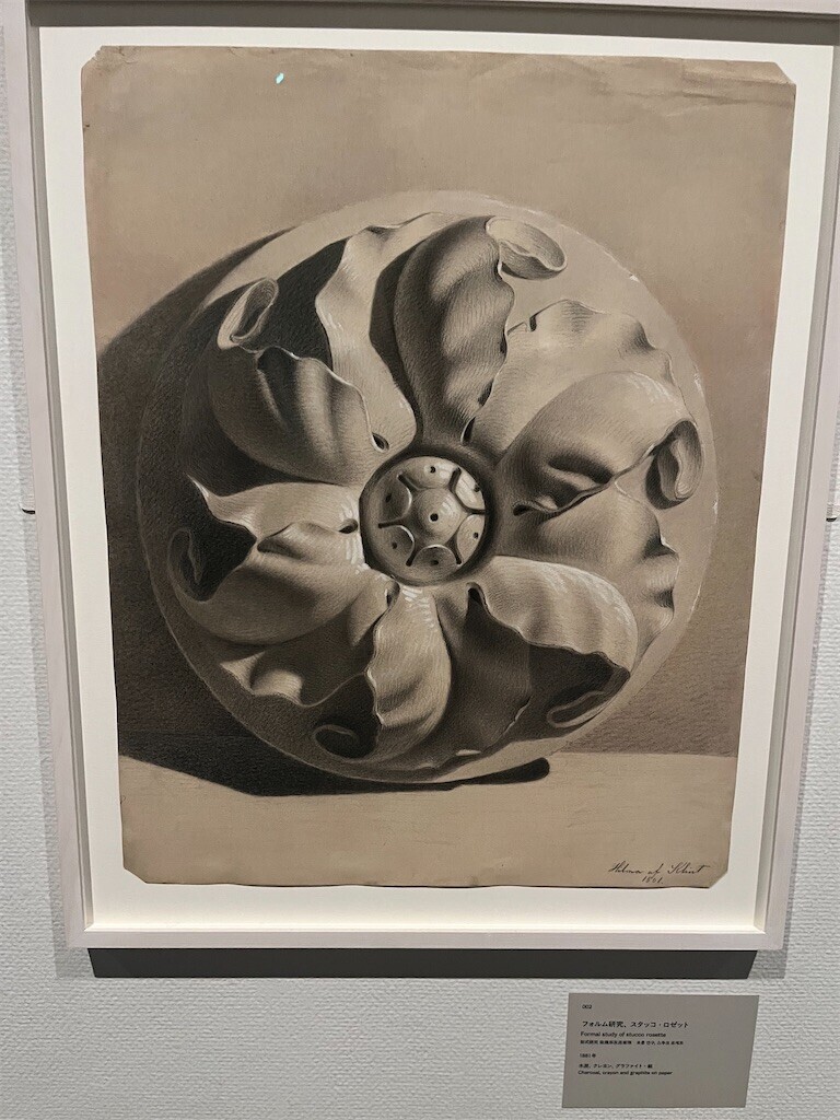 f:id:mamezouya:20250604152637j:image