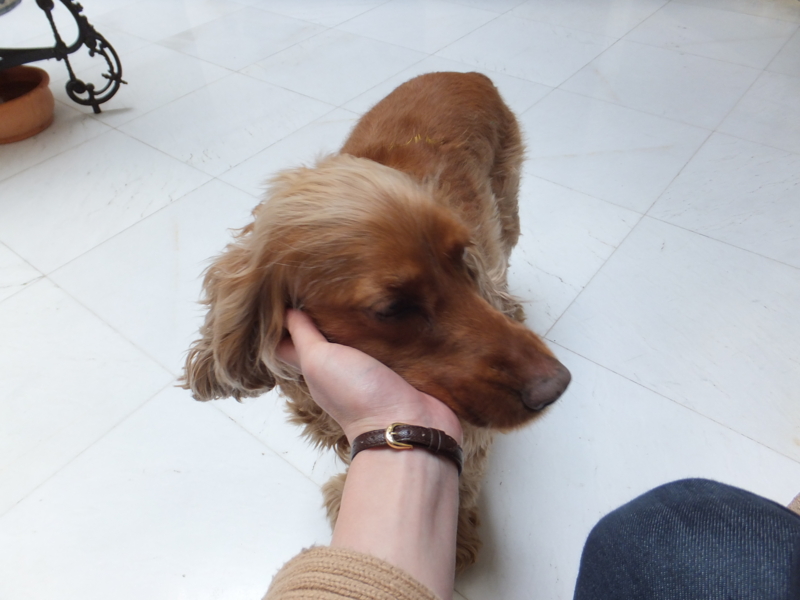f:id:mamfuj:20140722200451j:plain f:id:mamfuj:20140722200451j:plain