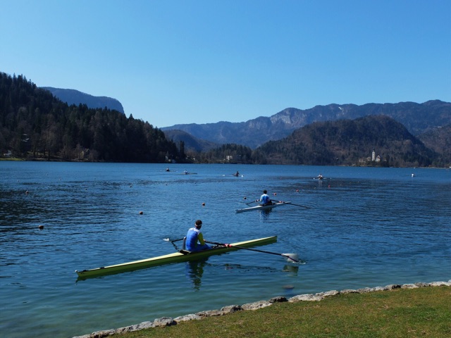 f:id:mamfuj:20150414222410j:plain f:id:mamfuj:20150414222410j:plain