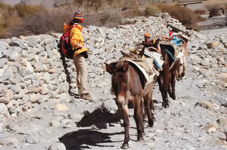 f:id:mamfuj:20150905202748j:plain