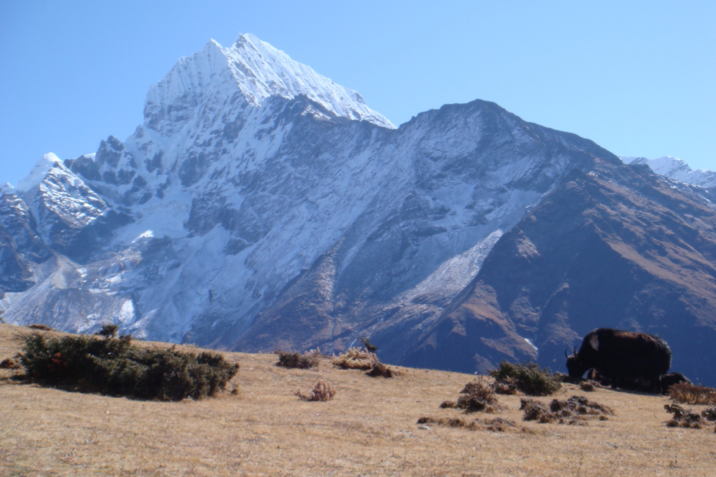 f:id:mamfuj:20150905203247j:plain