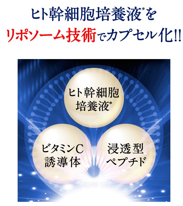 シグリッド化粧品解説