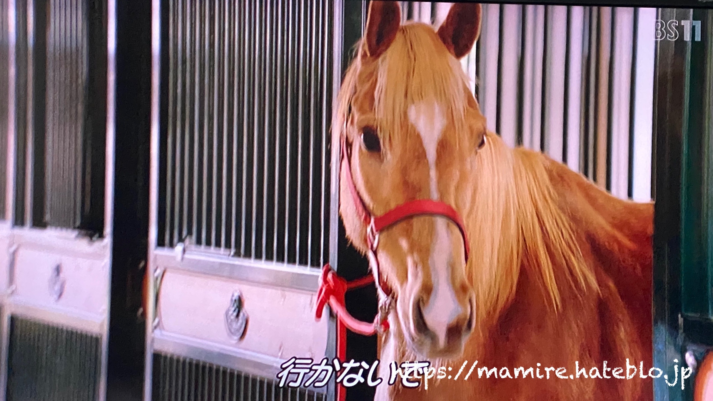 f:id:mami-re:20200601131751j:plain