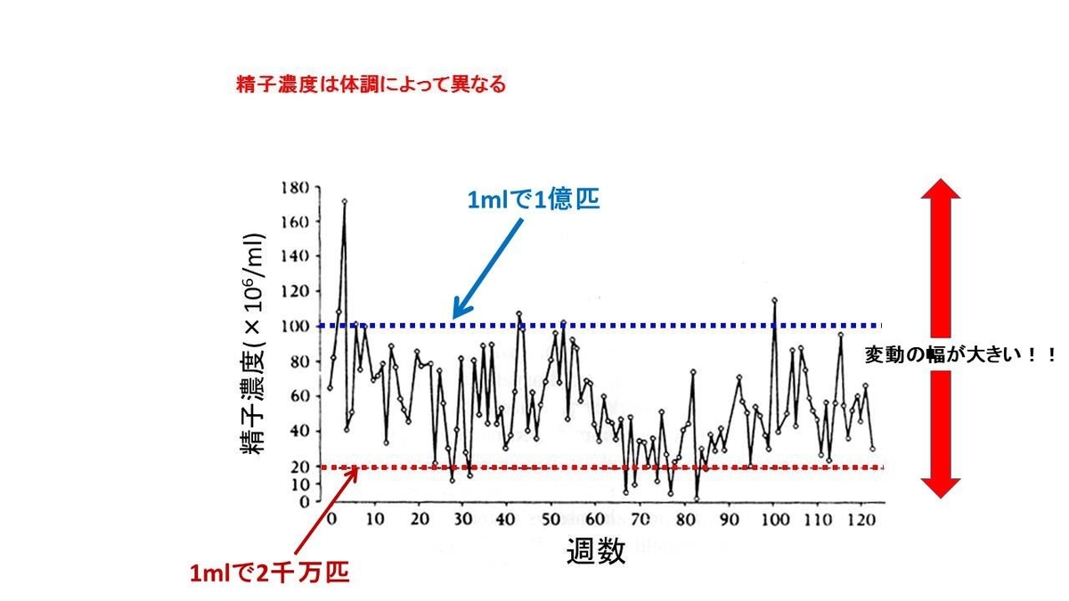 f:id:mami1983:20190316133159j:plain