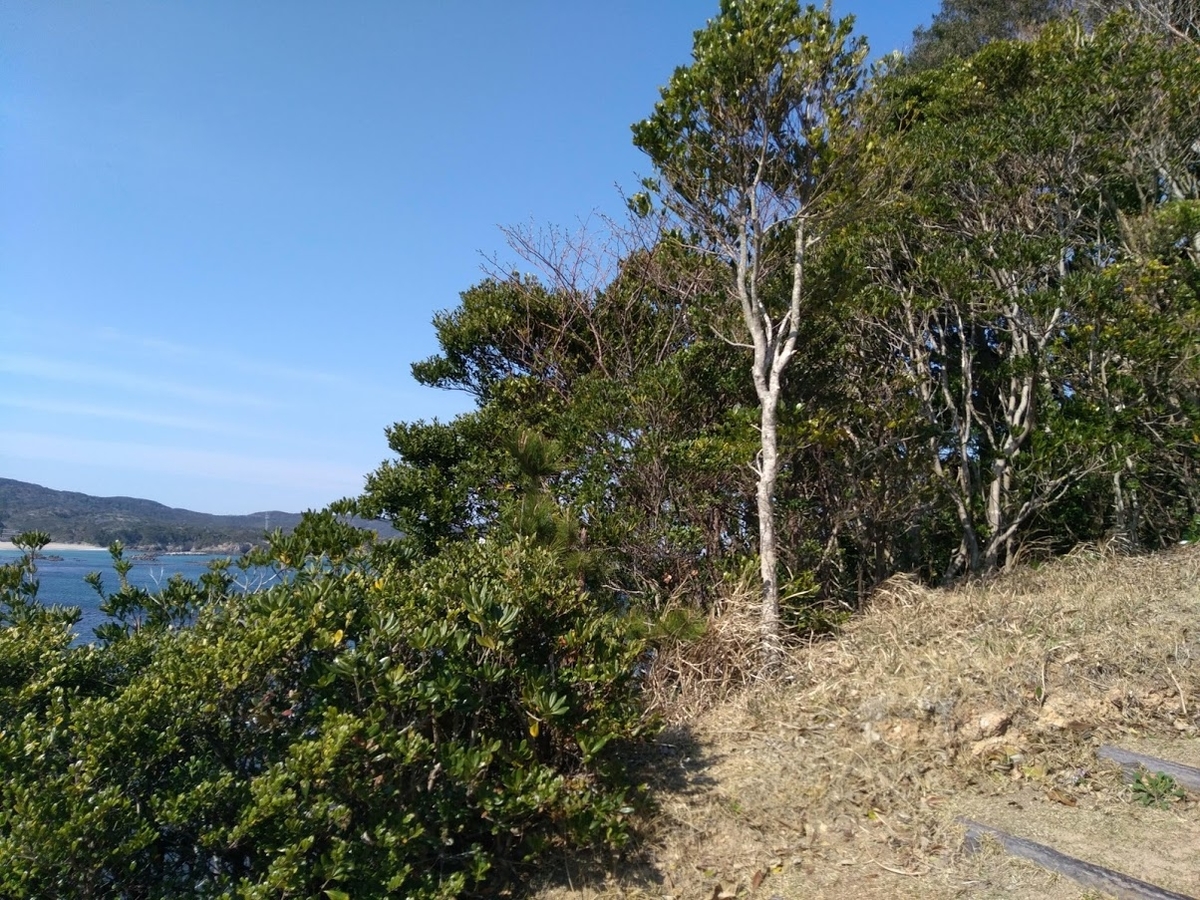 f:id:mami1983:20190324101748j:plain f:id:mami1983:20190324101748j:plain