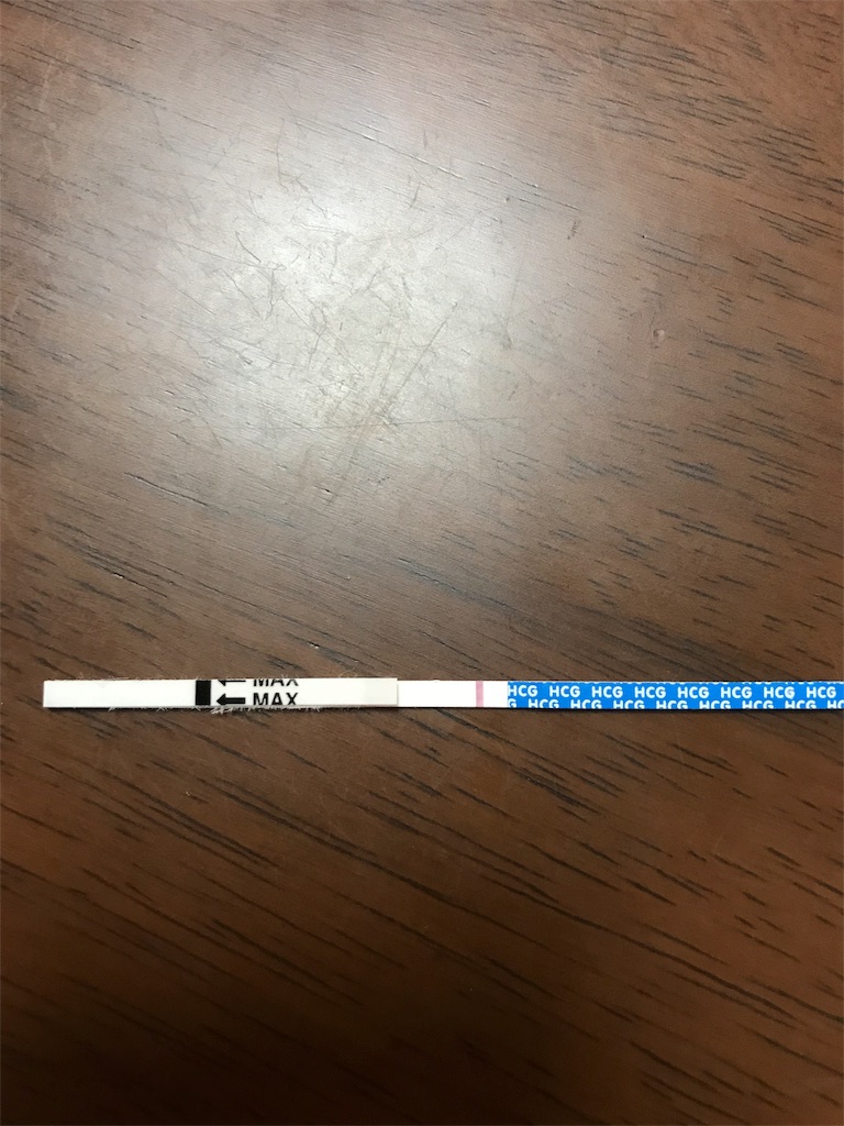 f:id:mami1983:20190421212644j:image f:id:mami1983:20190421212644j:image