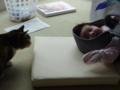 20100404123252