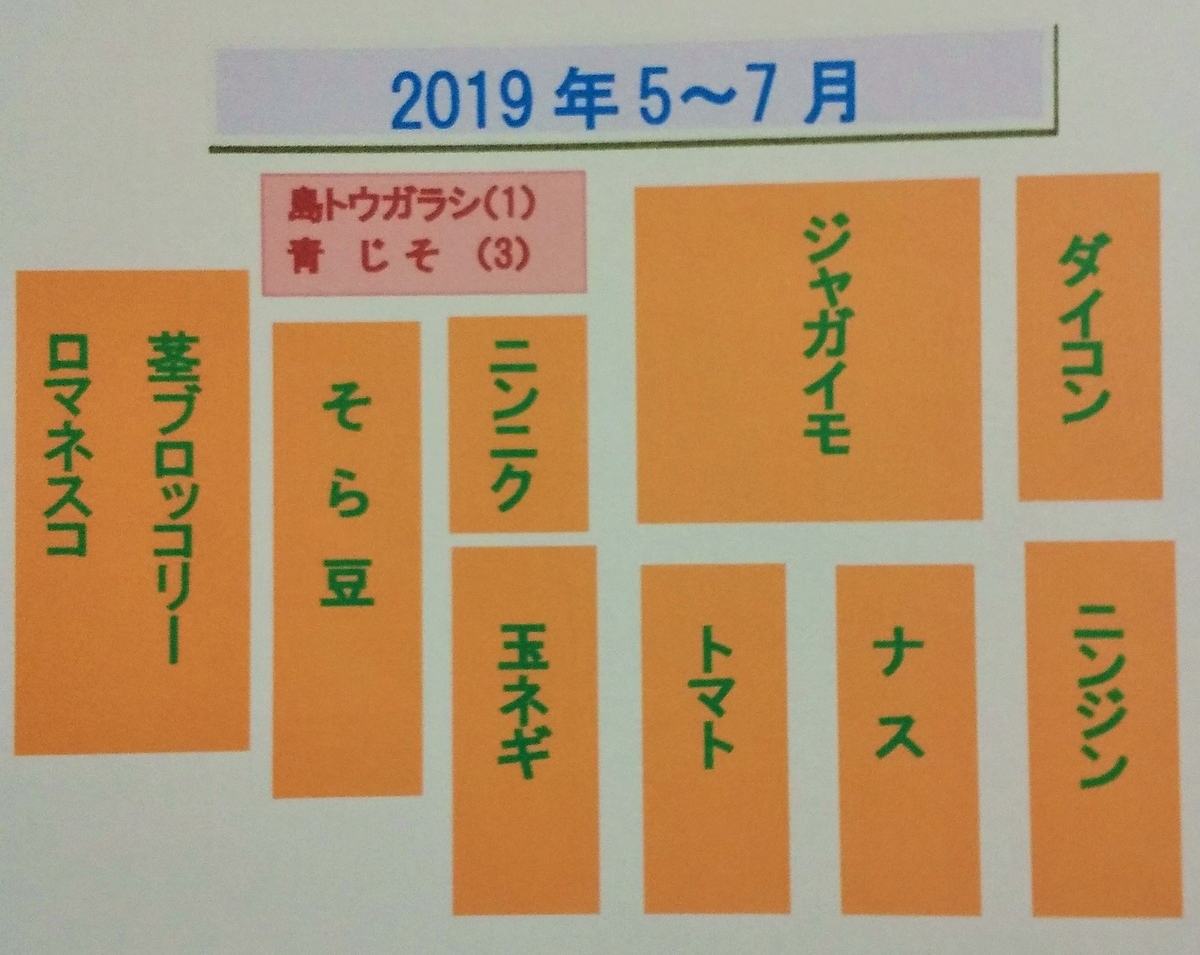 これからの種まき 菜園計画 後作 マミーの野菜ダイアリー